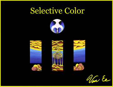 Selective Color Book Cover