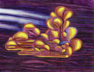 Color Cloud