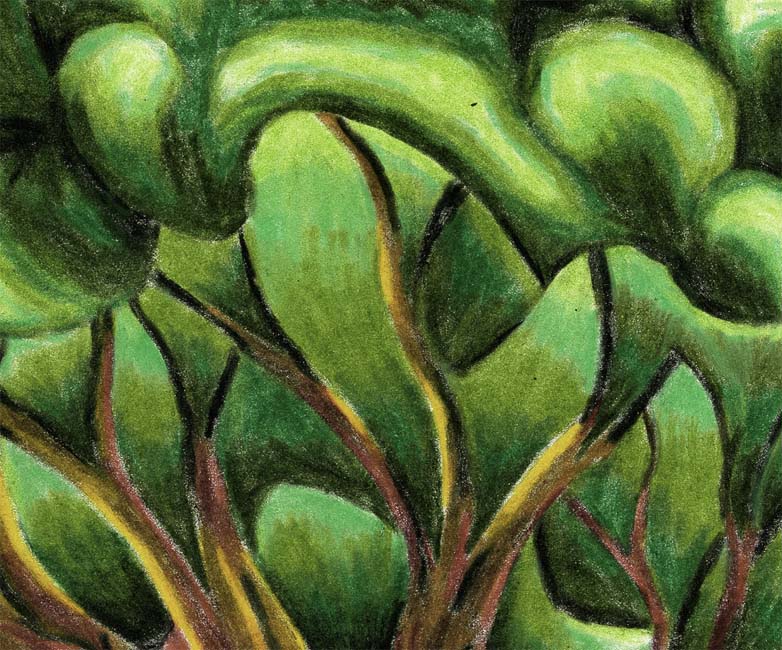 Leaves