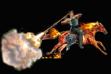 Horse & Rider