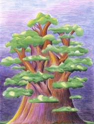 Van Ee Tree